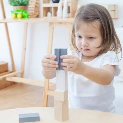 Plan Toys Infant (12-24 Months) Fraction Blocks