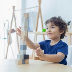 Plan Toys Educational Cubes