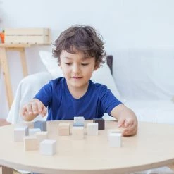 Plan Toys Educational Cubes