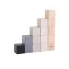 Plan Toys Educational Cubes