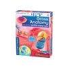 Thames & Kosmos Gross Anatomy Science