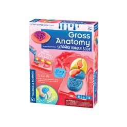 Thames & Kosmos Gross Anatomy Science