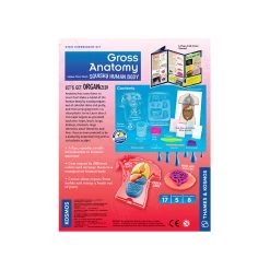 Thames & Kosmos Gross Anatomy Science