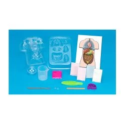 Thames & Kosmos Gross Anatomy Science