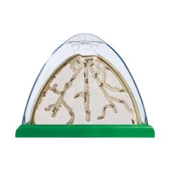 Insect Lore Ant Mountain® Educational