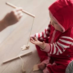 Babai Geometric Fishes With Magnets