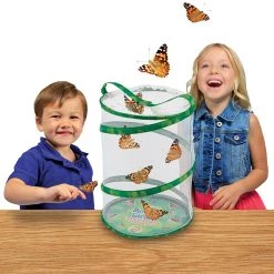 Insect Lore Butterfly Garden®