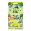Crazy Aarons SCENTsory - Tropical - Sunsational Sensory