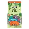 Crazy Aarons SCENTsory - Tropical - Tropicgo Sensory