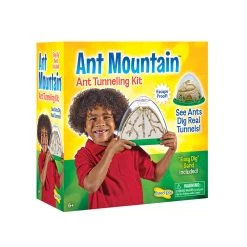 Insect Lore Ant Mountain® Educational