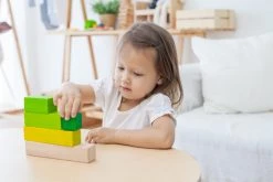 Plan Toys Ordering Blocks