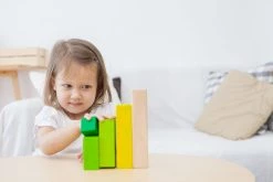 Plan Toys Ordering Blocks